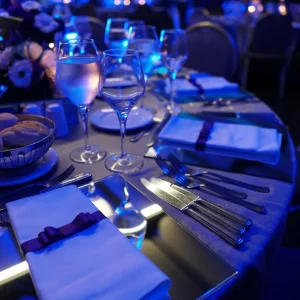 Gala Ticket